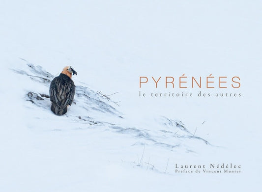 Front cover of Pyrénées : Le territoire des autres