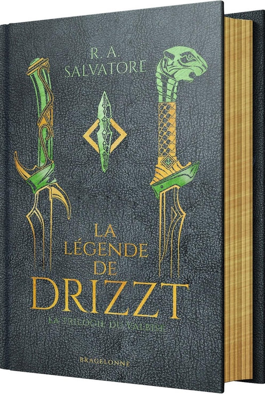 Front cover of Les Royaumes Oubliés - la légende de Drizzt : Intégrale Tomes 4 à 6 : La trilogie du Val Bise                     (Édition collector ; Traduction conjointe de Laurence Murphy et Fanélie Cointot)