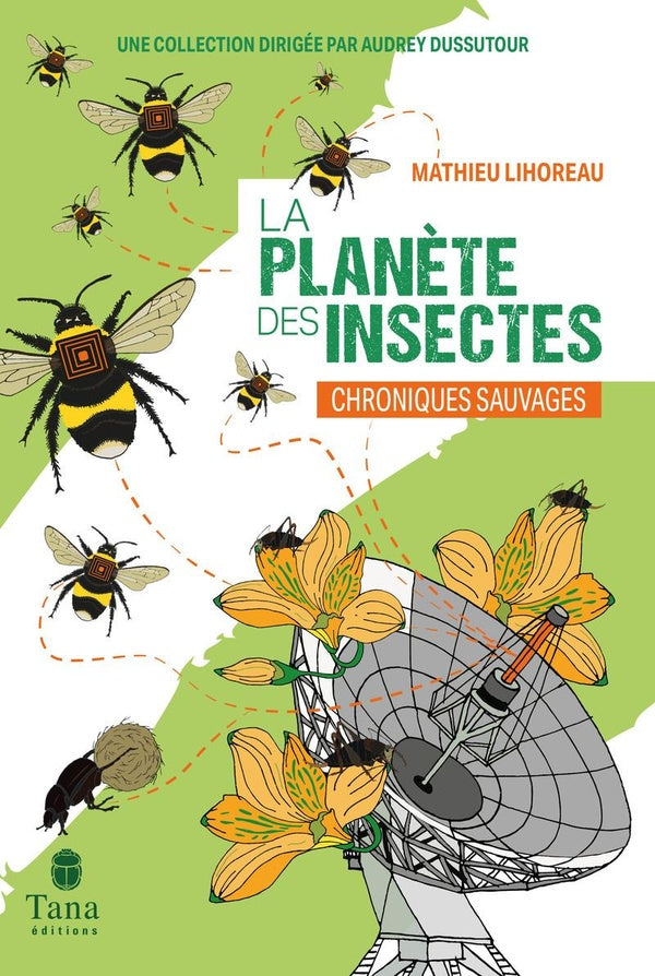 Front cover of La planète des insectes : Chroniques sauvages