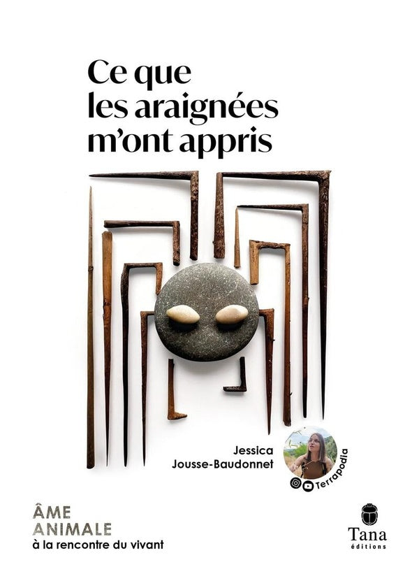 Front cover of Ce que les araignées m'ont appris