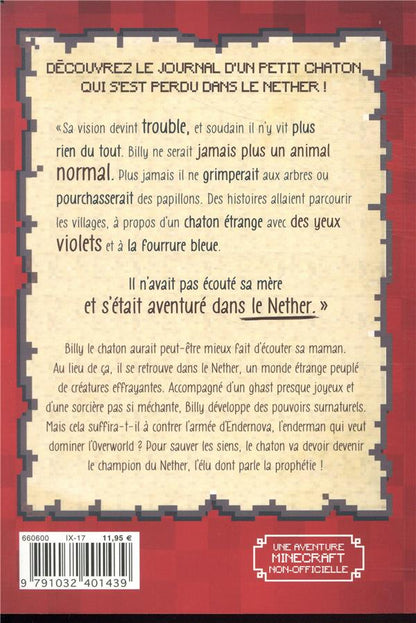 Back cover of Un chaton (qui s'est perdu) dans le Nether Tome 1
