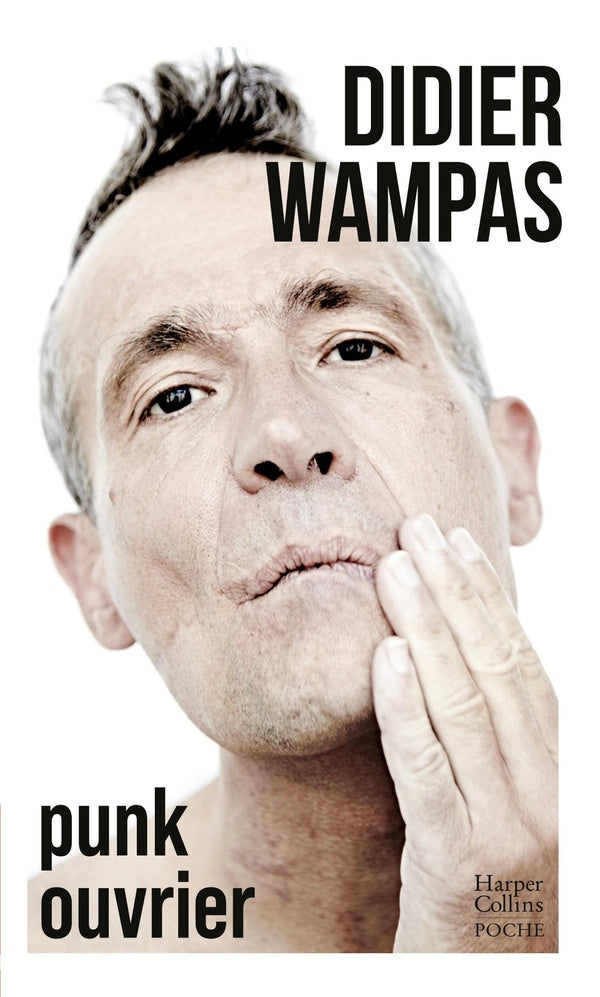Front cover of Punk ouvrier
