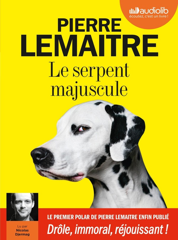 Front cover of Le serpent majuscule                     (1 cd mp3 ; 7h05 ; lu par Nicolas Djermag)