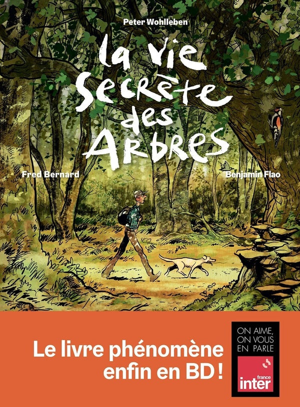 Front cover of La Vie secrète des arbres en BD