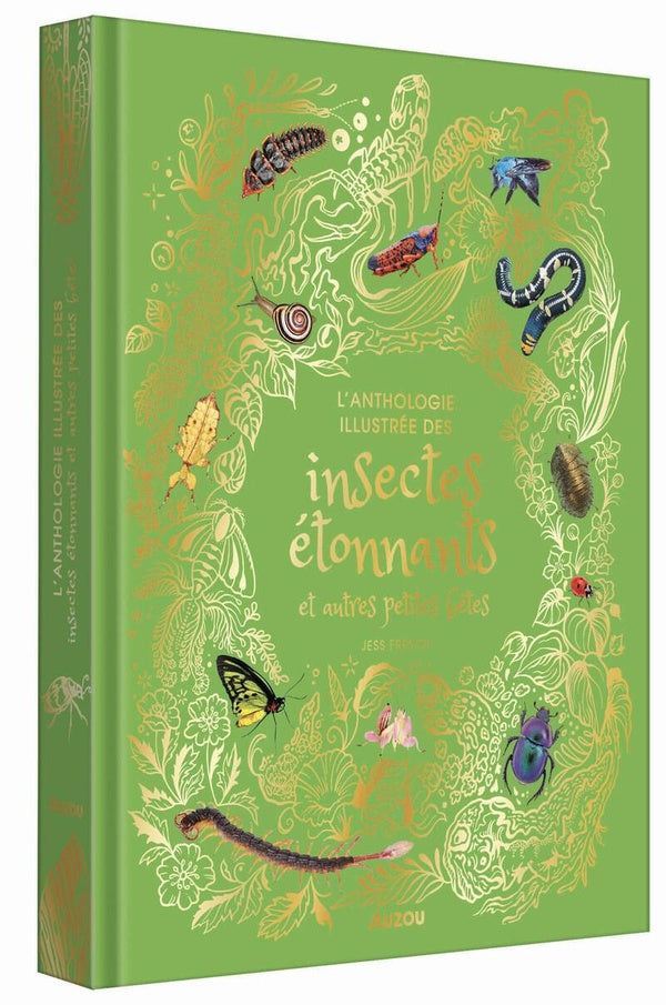 Front cover of Anthologie des insectes étonnants et autres petites bêtes
