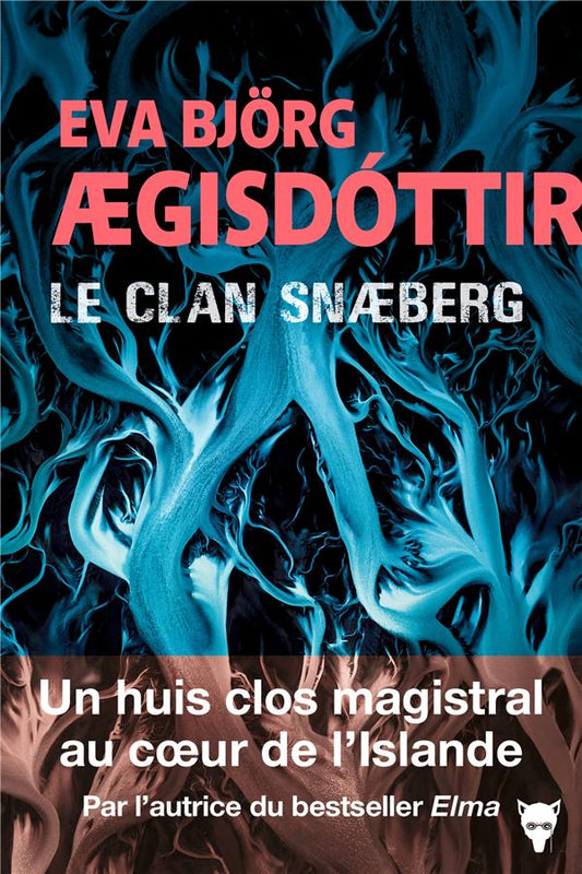 Front cover of Le clan Snaeberg