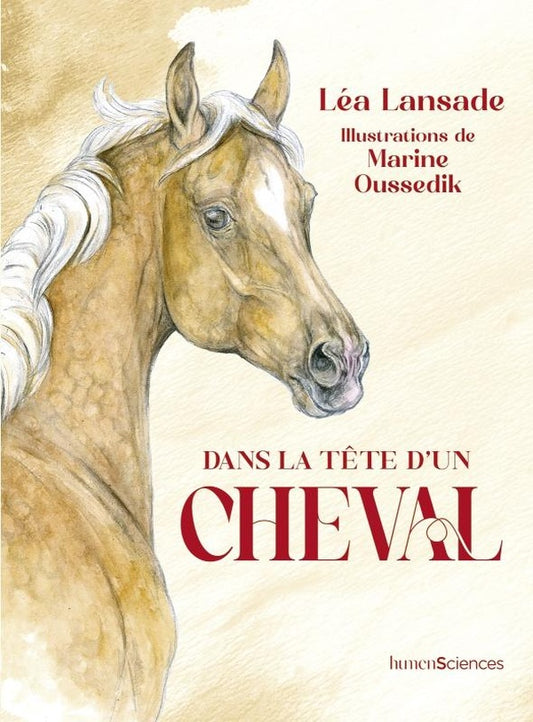 Front cover of Dans la tete d'un cheval