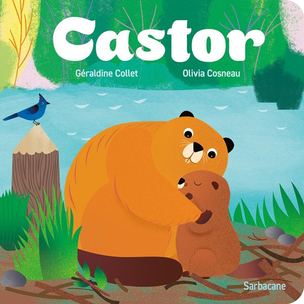Front cover of Castor