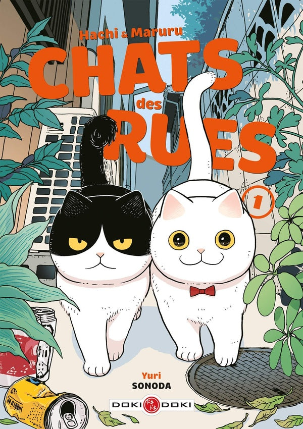 Front cover of Hachi & Maruru : chats des rues Tome 1