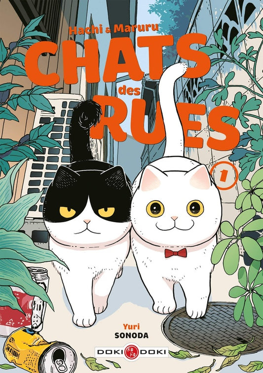 Front cover of Hachi & Maruru : chats des rues Tome 1
