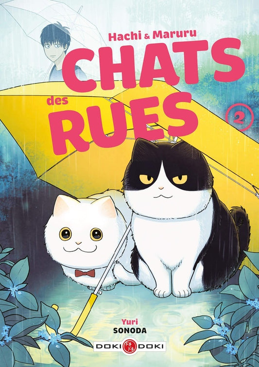 Front cover of Hachi & Maruru : chats des rues Tome 2