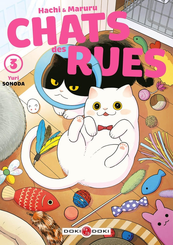 Front cover of Hachi & Maruru : chats des rues Tome 3
