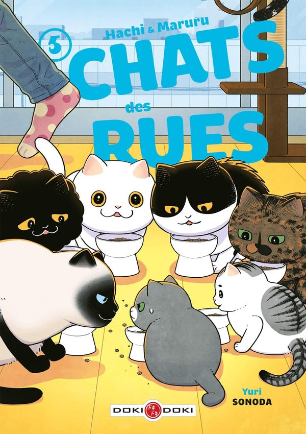 Front cover of Hachi & Maruru : chats des rues Tome 5