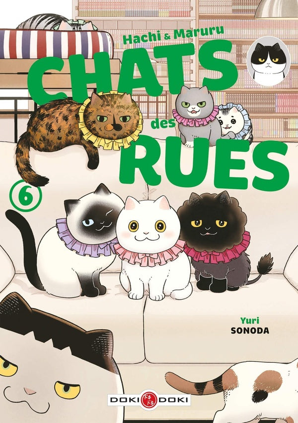 Front cover of Hachi & Maruru : chats des rues Tome 6