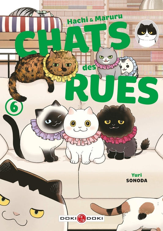Front cover of Hachi & Maruru : chats des rues Tome 6