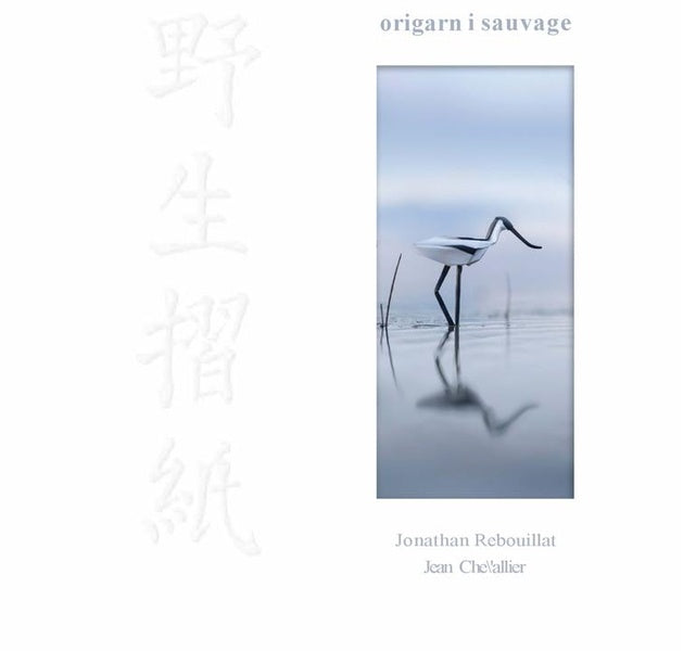 Front cover of Origami sauvage