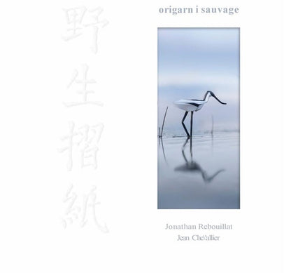Front cover of Origami sauvage