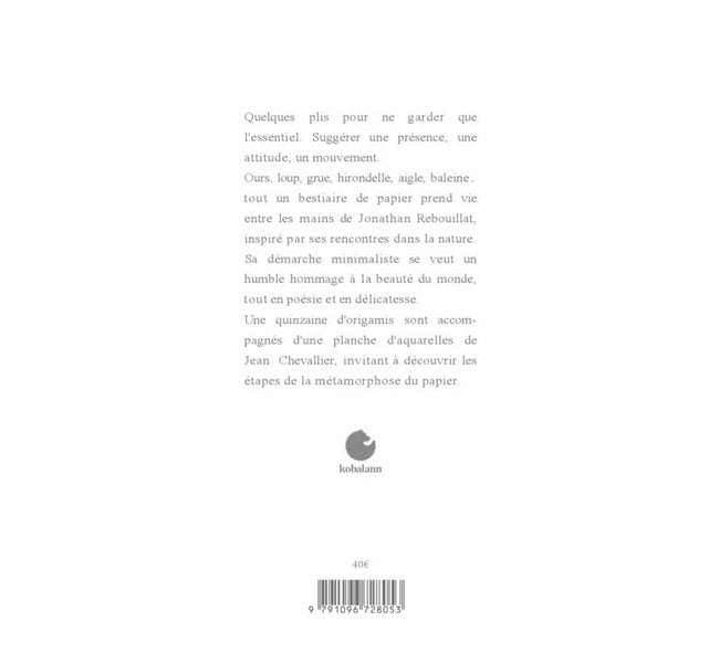 Back cover of Origami sauvage