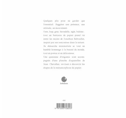 Back cover of Origami sauvage